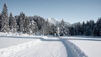 Ski-Langlauf in Leutasch Tirol - MEIN CHALET LEUTASCH TIROL